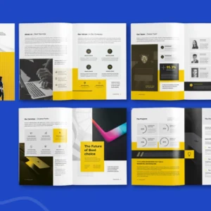 Professional Company Profile (6-8 Pages)